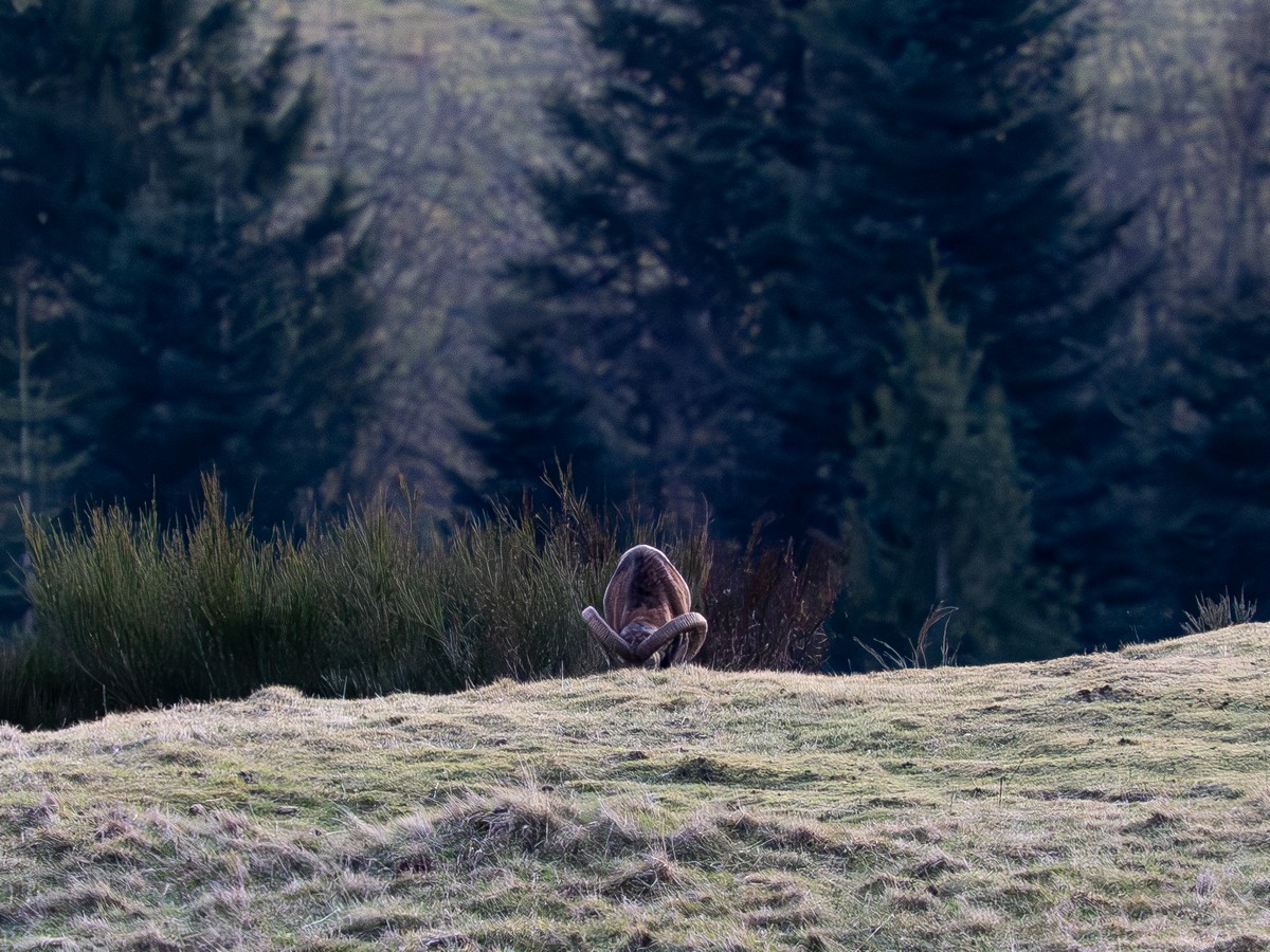 09122025-09 12 2025 (13).jpg